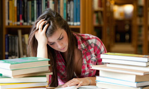 course-4 Introduction LearnPress – LMS plugin